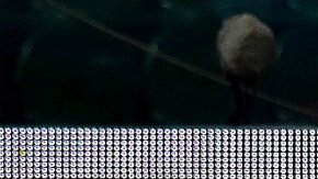 Con 37 años de edad, Kolse emprendería una nueva aventura el el fútbol de EEUU.