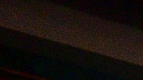 Hinchas del Leicester City festejan uno de los goles del Chelsea ante Tottenham.