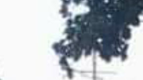 Hijinio Jimenez Gonzalez