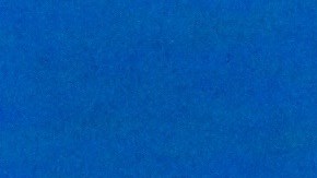 El director ejecutivo de NALEO, Arturo Vargas, dijo que es preciso mantener el diálogo con líderes republicanos. Foto: María Peña/Impremedia