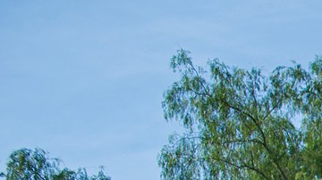 La exhibición ‘Dinosaurs: Unextinct at the L.A. Zoo’ estatá abierta durante algunos de los eventos especiales.