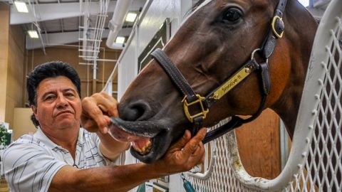 Leandro Mora es el entrenador asistente de Doug O'Neill, quien se lleva el crédito por Nyquist, caballo de moda en el hipismo.