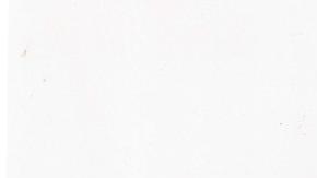 La obra "Make America Great Again" muestra a Donald Trump desnudo.