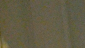 Monserrat Morán no tiene completas sus extremidades  pero esto no ha sido impedimento para que cultive su pasión por el arte y prepare deliciosos tacos.