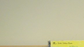 Uno de cada cinco personas que contratan trabajadores domésticos buscan una niñera.