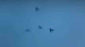 Las palomas con luces emprenden vuelo en Nueva York.