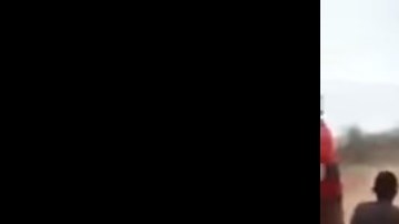 Colgaron explosivos a l animal.