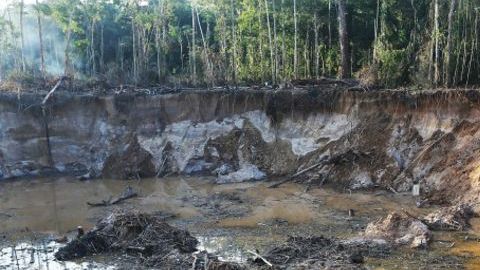 La minería ilegal ha causado destrozos en ríos y bosques peruanos.