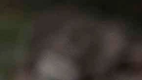 Seleccion mexicana olimpica