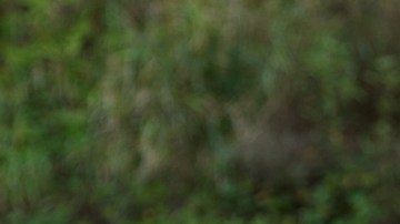 El boca a boca ya no está recomendado.