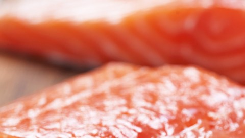 salmon