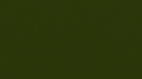 El virus del Zika se transmite a través de la picadura de mosquitos infectados del género Aedes.