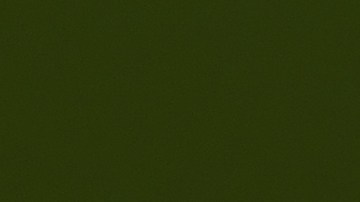 El virus del Zika se transmite a través de la picadura de mosquitos infectados del género Aedes.