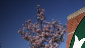 Pincus busca que el pleito se convierta en uno colectivo.