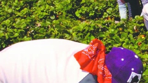 EEUU - HISPANOS- AGRICULTURA