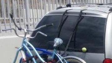 El conductor de esa camioneta Dodge Caravan color plateada es sospechoso de dar puñetazos y golpear a un pequeño perro contra la banqueta hasta matarlo. /CORTESIA DEL LAPD