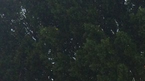 Maria Elena Hernández y Carolina Morán caminan por las calles de Pacoima en busca de electores registrados. /FRANCISCO CASTRO