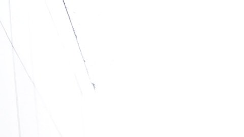 Abogados de inmigración denuncian falta de representación y debido proceso frente al edificio federal de Los Angeles.