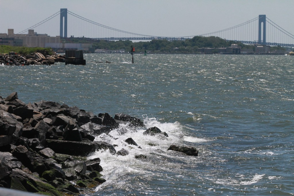 Con vistas al mar, desde el Red Hook Dock. Photo Credito Mariela Lombard/El Diario NY.
