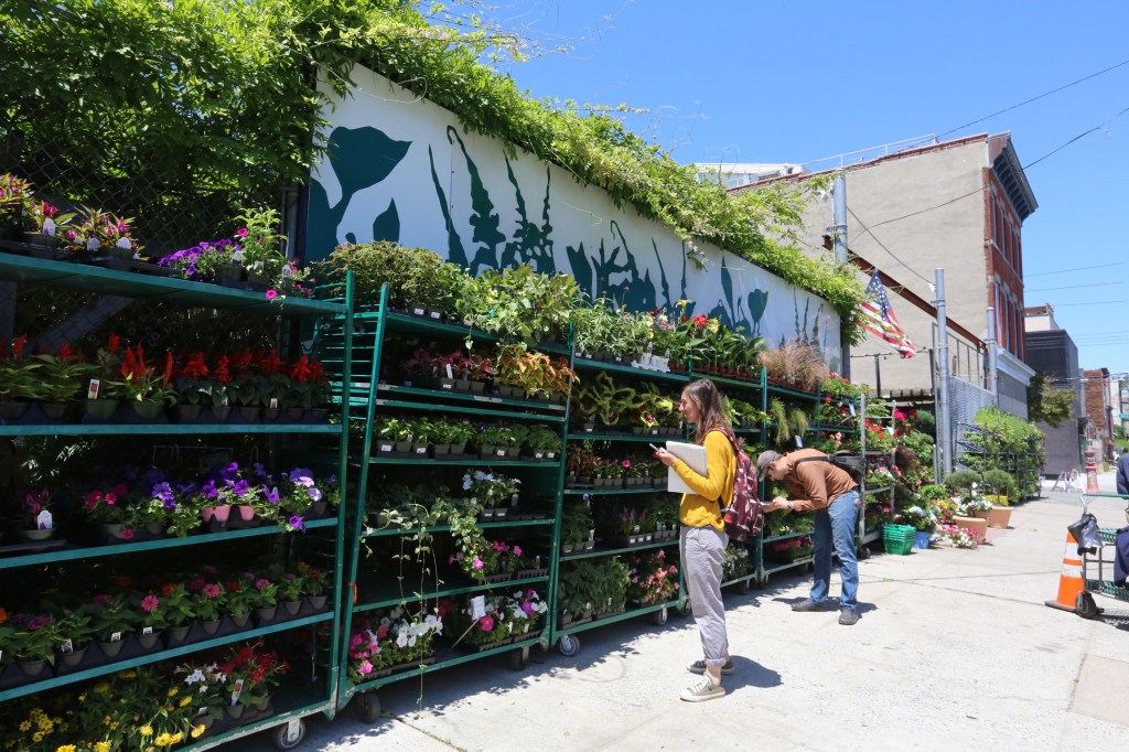 Nuestros Barrios- Red Hook, Brooklyn. Photo Credito Mariela Lombard/El Diario NY.