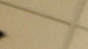 Los que ayuden en la elección del 8 de noviembre en las casillas electorales tendrán un salario más alto. (Aurelia Ventura/ La Opinion)