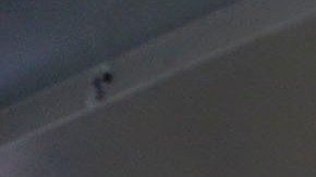 Electores votan en Los Ángeles, California.