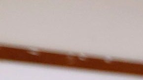 Este 8 de noviembre, California presentará 17 propuestas en su boleta electoral.