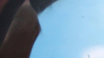 Todos los graduados de esta secundaria ya tienen asegurado su camino a la universidad.