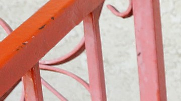 Romen López con sus hijos Victoria, de 11 años, Romen, de 10, y Derek, de 4. (Aurelia Ventura/ La Opinion)