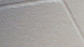 Adelanto Detention Female