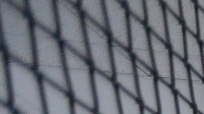 06/21/16/ ADELANTO/ A guard does a head count at the 'segregation cell area' at the Adelanto Detention Center. The facility, the largest and newest Immigration and Customs Enforcement (ICE), detention center in California, houses males and females an average of 1,700 immigrants in custody pending a decision in their immigration cases or awaiting deportation. (Photo Aurelia Ventura/ La Opinion)