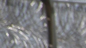 Inmigrantes detenidos en Adelanto, California regresan a sus celdas.