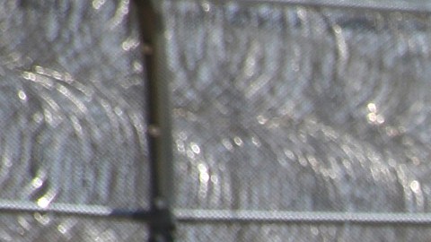Inmigrantes detenidos en Adelanto, California regresan a sus celdas.