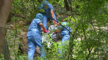 Autoridades mexicanas hallaron los cuerpos de siete leñadores decapitados en la sierra del municipio de El Rosario, en el noroccidental estado de Sinaloa.