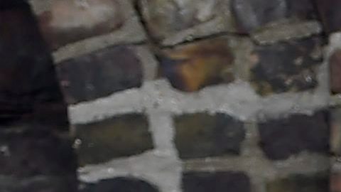 Jubilados de la armada británica, residentes del Royal Hospital de Chelsea, abandonan un colegio electoral en Londres (Reino Unido) tras ejercer su voto en el referendum sobre el "Brexit" en Londres