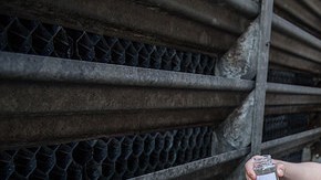 Las fuentes más comunes de estos brotes fueron el agua potable, como el que se usa para las duchas.