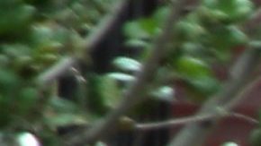 El jefe de la Policía de Los Ángeles, Charlie Beck, confirmó que el autor del tiroteo ocurrido en la UCLA se suicidó tras matar a una víctima.