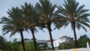 La masacre de Orlando es el peor tiroteo masivo de la historia de EEUU.