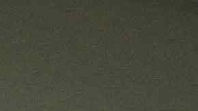 Nadine Heredia es hoy presidenta del Partido Nacionalista Peruano, con el que su marido Ollanta Humala llegó a la presidencia.