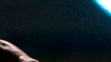 Carlos Bacca, delantero de Colombia y el AC Milan.