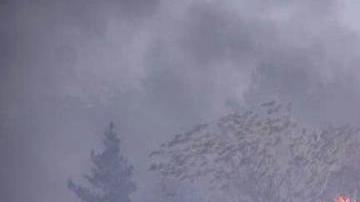 Más de 19,000 acres arden en llamas en el Valle Central de California.