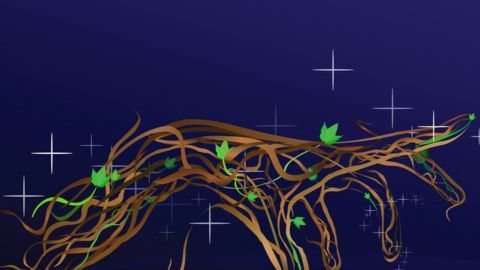 Magia, naturaleza y ciencia de la mano.