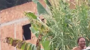 El puente, construido bajo la iniciativa de Manoelina dos Santos, Juracy da Conceição y Adalto José Soares, ahorra a los vecinos 2 kilómetros de camino para llegar a la zona comercial.