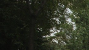 López Obrador encabeza manifestación en la Ciudad de México.