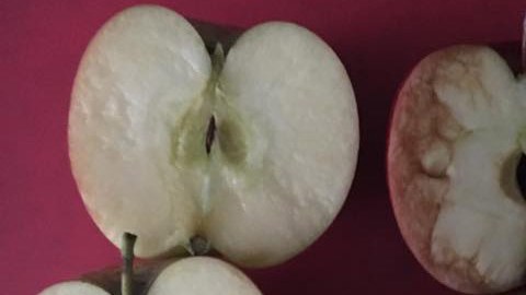 Las manzanas utilizadas por la profesora de Relax Kids Tamworth.