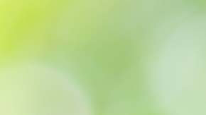 Los salarios suben pero la compensación total no tanto./Shutterstock