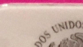 Credencial de elector mexicana. (Muestra)