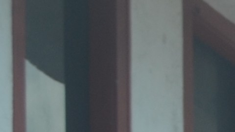 Nancy Rosado, vicepresidenta de la organización Misión Boricua de Orlando, llamó a la paz, se describió como gay y categóricamente rechazó este ataque de violencia.
