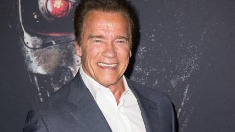 A pesar del susto, Arnold no ha cambiado de opinión sobre la "belleza" innata de los elefantes.