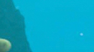 Ellen DeGeneres vuelve a dar voz a Dory en "Finding Dory".